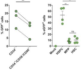 CRISPR技術(shù)在鐮刀型細(xì)胞貧血癥中的應(yīng)用研究與發(fā)展前景