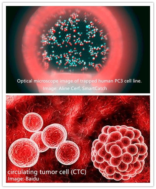 德國Nanoscribe超高精度雙光子微納3D打印設(shè)備 引領(lǐng)細(xì)胞技術(shù)研發(fā)與應(yīng)用的革命