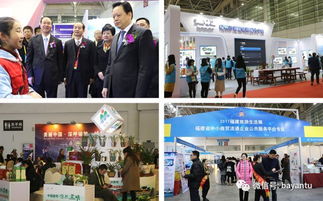 合作共贏 福旅會展與31會議強強聯合，數字會務賦能活動管理與企業形象策劃