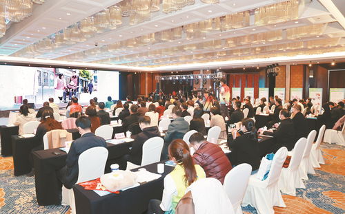 第六屆江蘇志愿服務展示交流會在泰舉行 企業形象策劃如何借力公益平臺